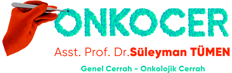 Asst. Prof. Dr. Süleyman TÜMEN Asst. Prof. Dr. Süleyman TÜMEN